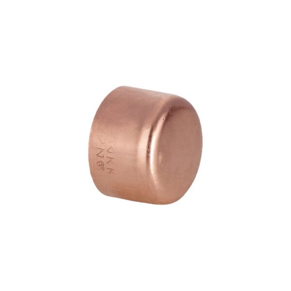 5301-55a59db967a3-8