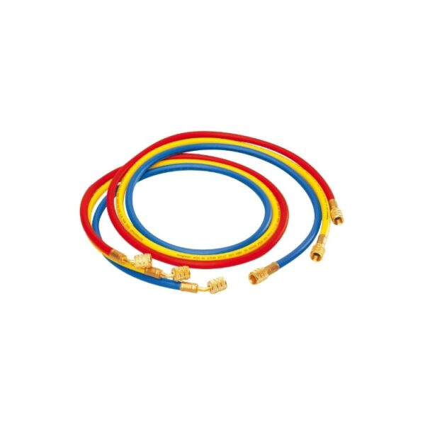 normal-b3095858c125-3